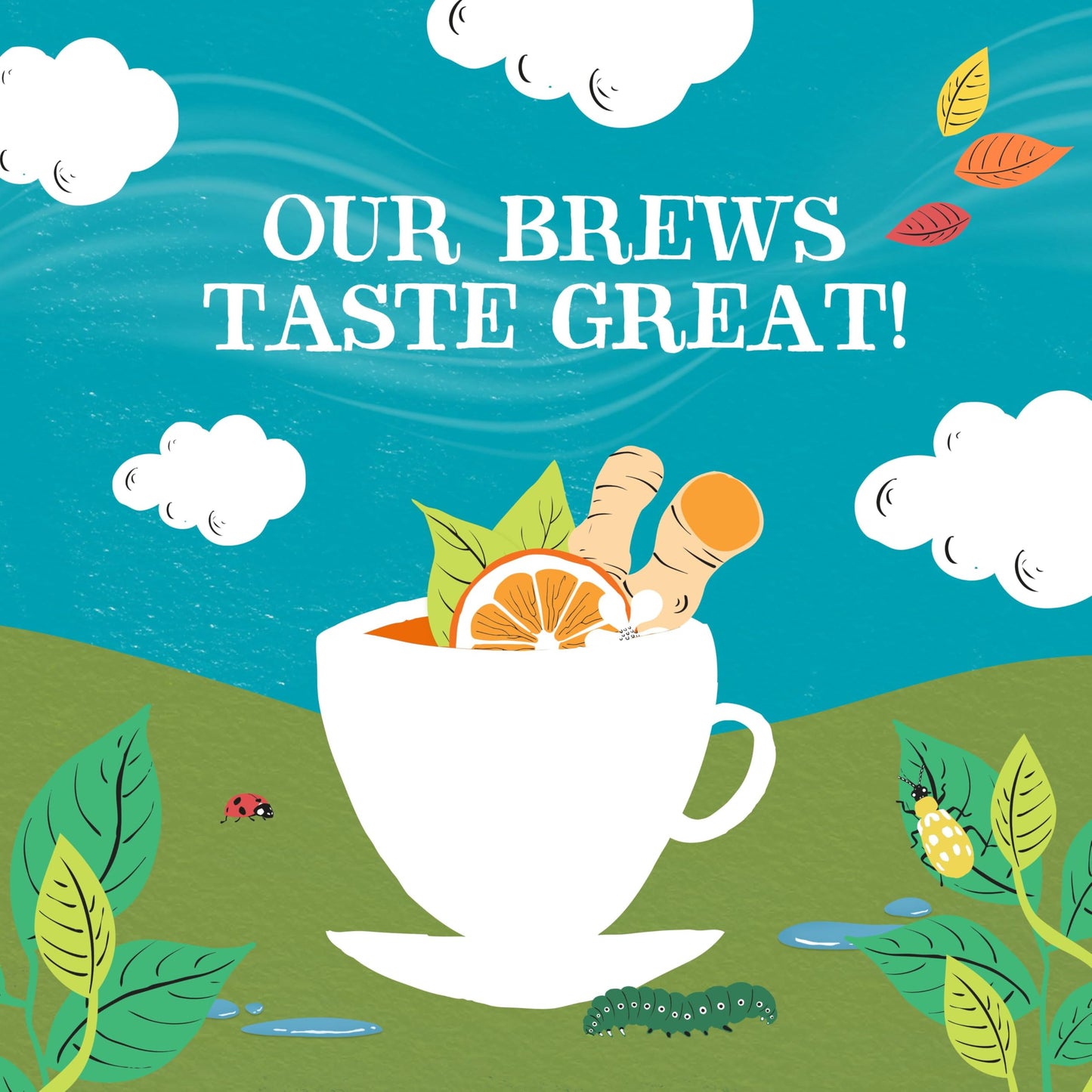 Clipper Tea Organic Herbal Tea, Orange & Turmeric, Caffeine Free, 20 Count (Pack of 6)