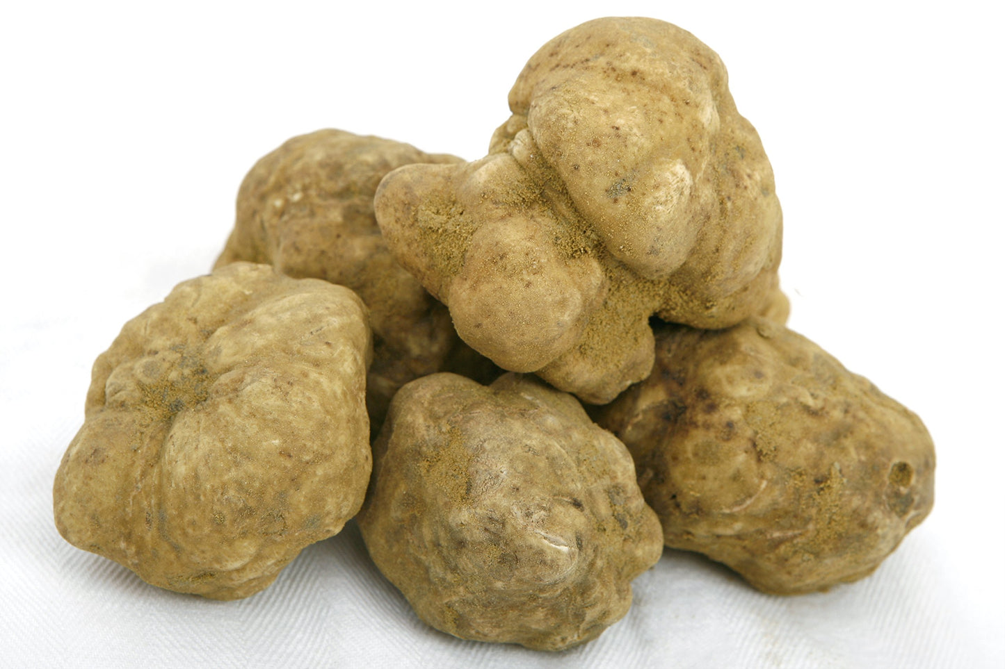 White Truffle Alba - Rare & Fresh, Direct from Italy 1.5 oz