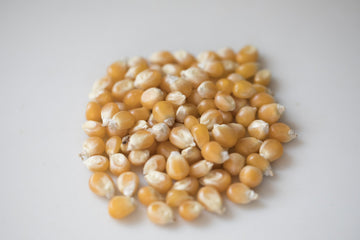 Amish Country Popcorn | 24-4 Oz Bags - Mushroom Kernels | Old Fashioned, Non-GMO and Gluten Free