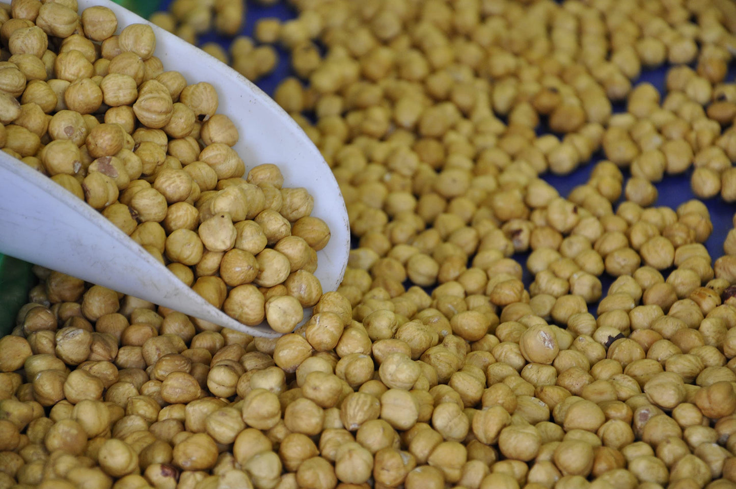 Alta Langa Hazelnuts - Terra Delle Nocciole - Piemonte, Italy