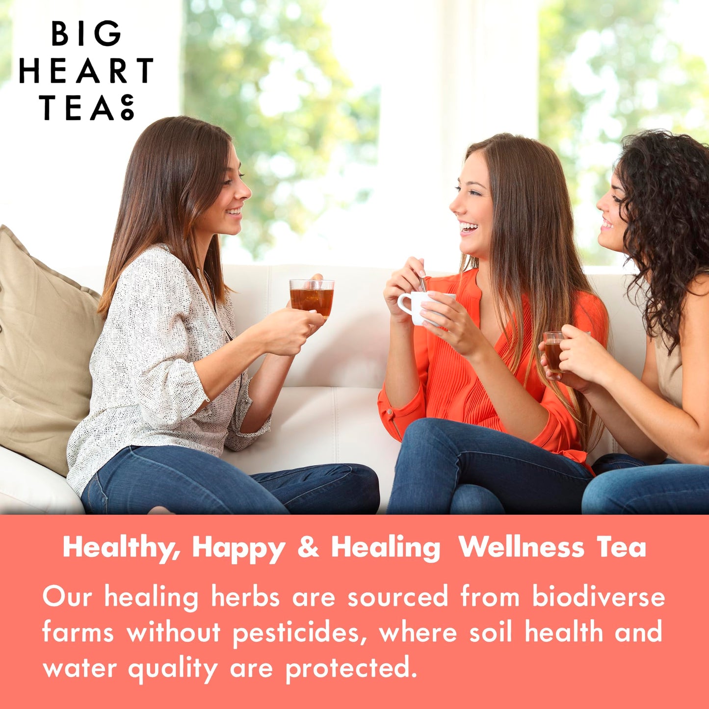 Big Heart Tea Co. Herbal Tea Bags - Cup of Love Red Rose, Organic, Decaf, 20 Bags, Zero Plastic Sachets