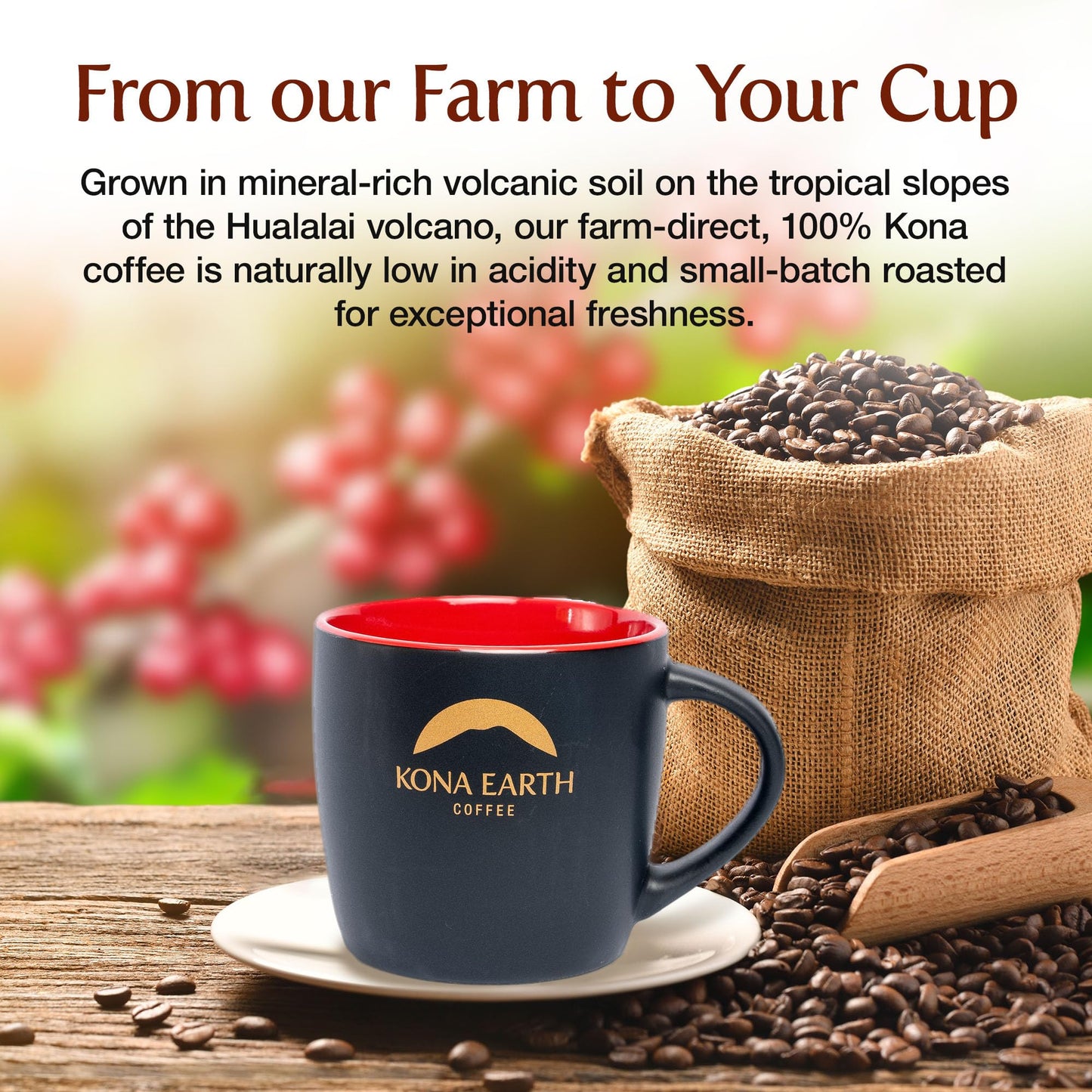 Kona Earth - Premium, 100% Kona Coffee, Dark Roast, Farm-Fresh Whole Coffee Beans, Micro-Batch-Roasted, 5 Lbs., Pack Of 1