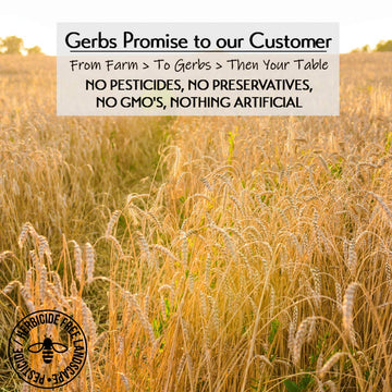 GERBS Instant Oats, 4 LBS. Premium Grade | Top 14 Food Allergy Free | Freshly harvested in Resealable Bulk Bag | High in Fiber &