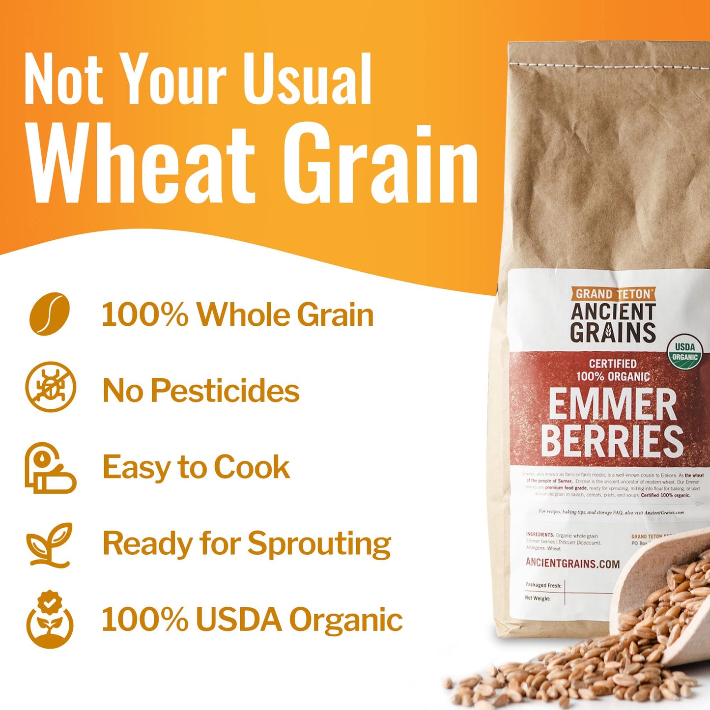 Grand Teton Emmer Wheat Berries, Organic, Premium Food-Grade, 5 lbs