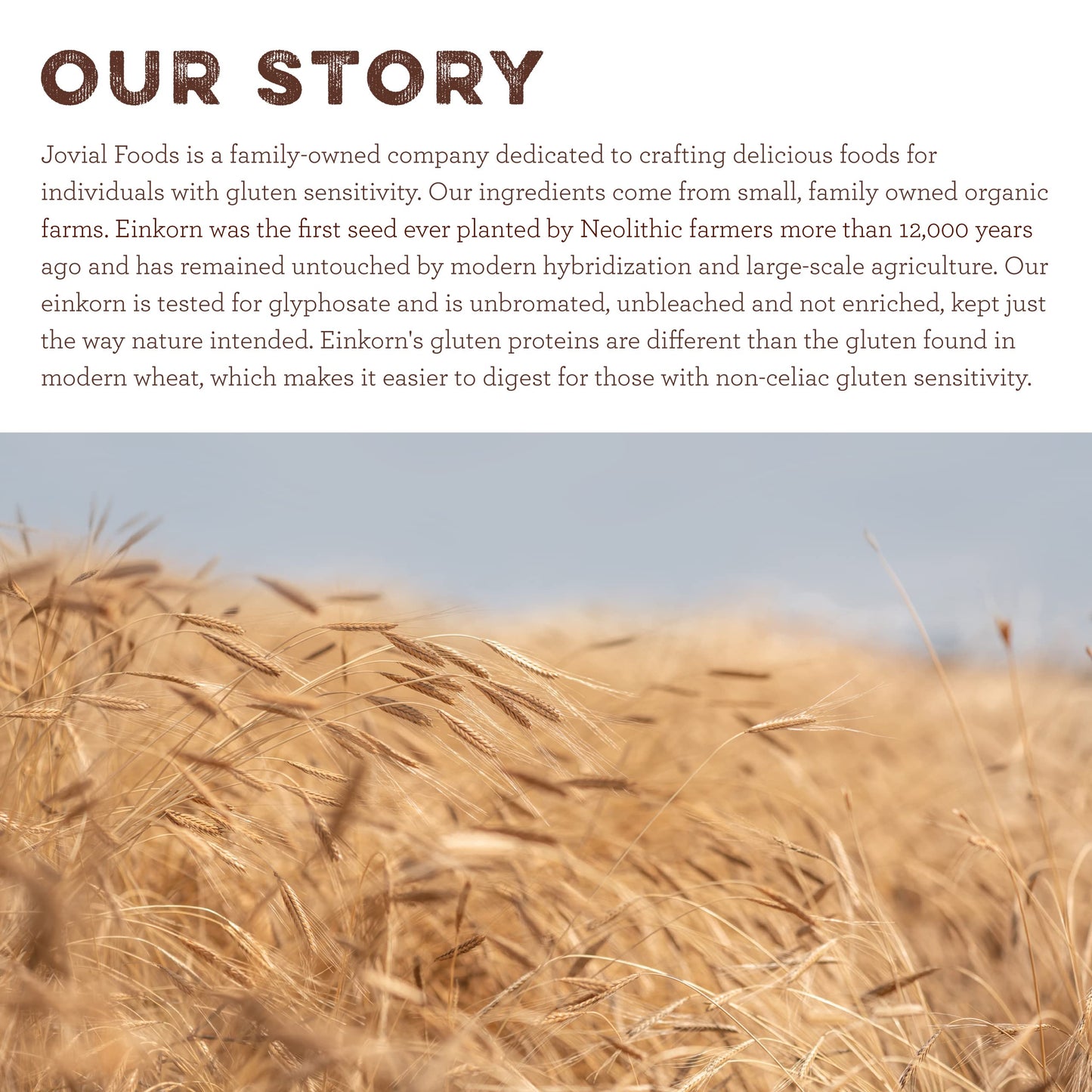 Jovial Einkorn 100% Organic Whole Grain Fusilli - Einkorn Pasta, High Protein, Non-GMO, USDA Certified Organic, Lower Carb, Deli