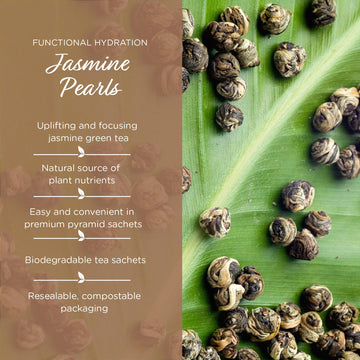 The Tea Spot Jasmine Pearls Green Tea | High-Grade Jasmine Infused Green Tea Pearls From Fujian | 15 Tea Bags