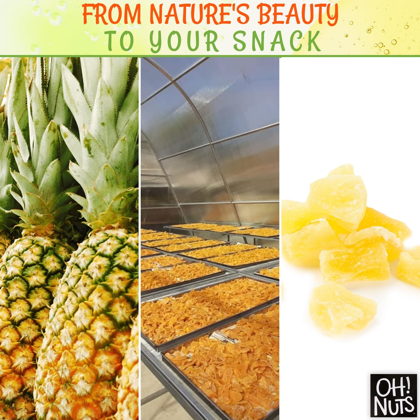 Dried Pineapple | 1.5 Lb - Dried Fruit Chunks | Less Sugar Added | Dehydrated Fruit Bites | Packed In New York Zip-Seal Bag For Exceptional Freshness By Oh Nuts