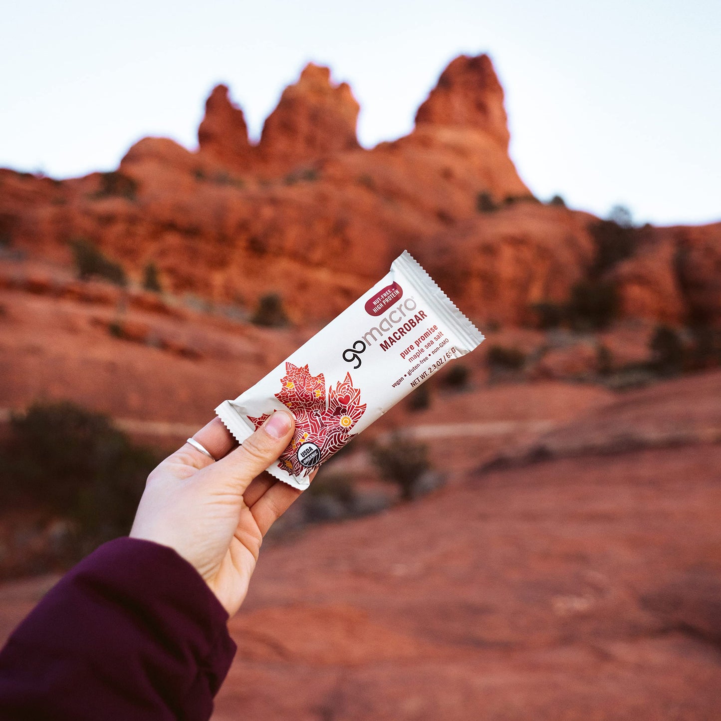 Gomacro Macrobar Organic Vegan Protein Bars - Maple Sea Salt (2.3 Ounce Bars, 12 Count)