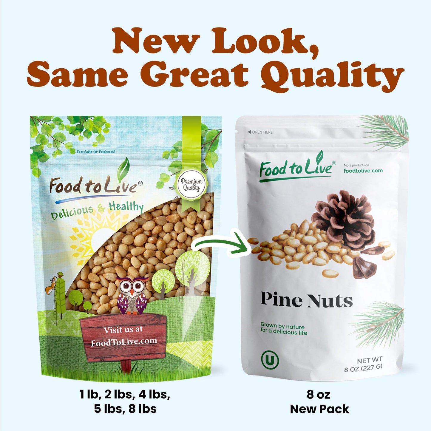 Food To Live Dry Roasted Pine Nuts, 4 Pounds – Naturally Tasty And Crunchy, Nutritious And Delicious, Perfect For Cooking, Baking And Snacking, Vegan, Kosher, Bulk