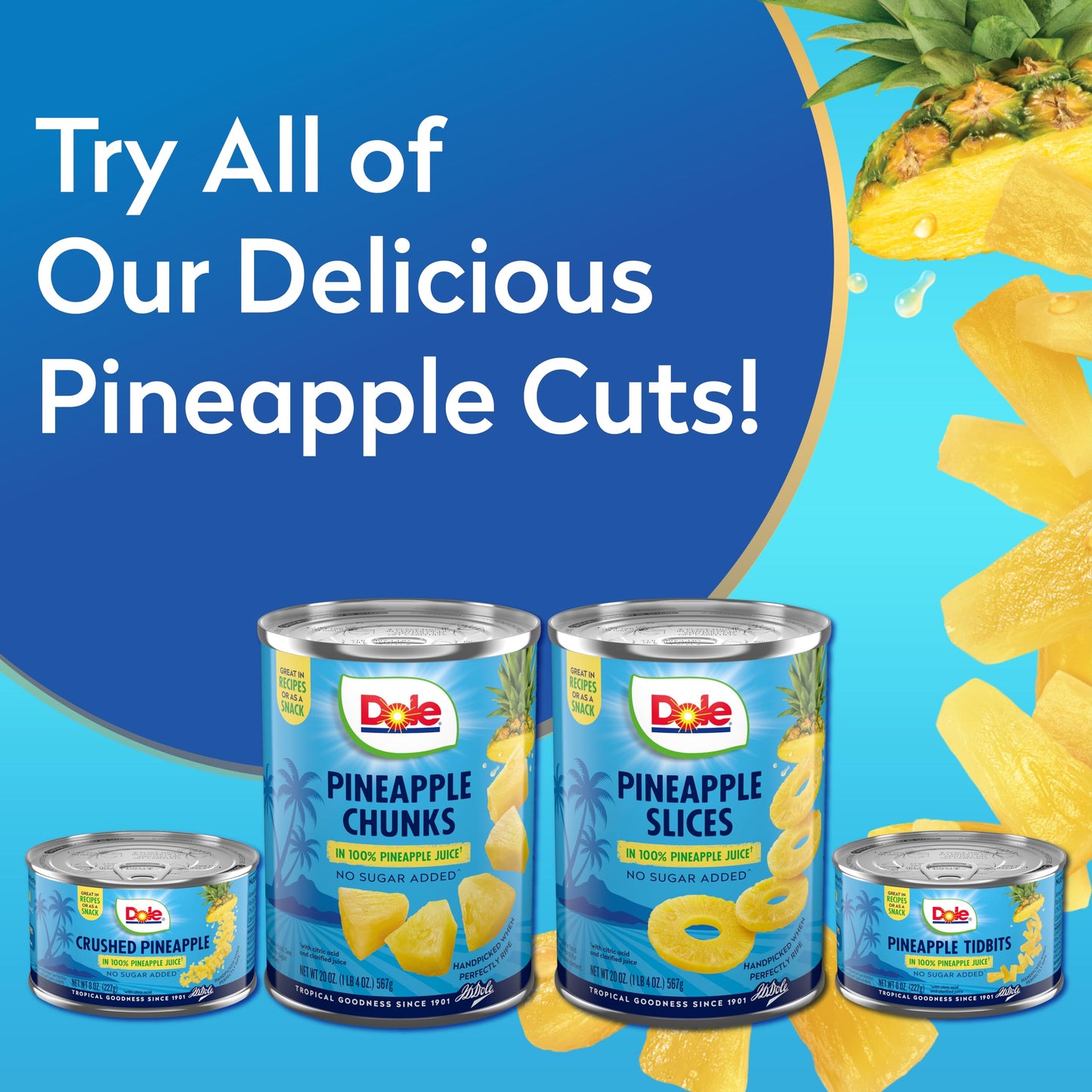 Dole Canned Fruit, Pineapple Tidbits in 100% Pineapple Juice, Gluten Free, Pantry Staples, 20 Oz, 12 Count, Packaging May Vary