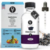 Dolce Flav Elderberry Extract - 2 Ounce Water-Soluble Multipurpose Flavoring Ideal for Baked Goods, Beverages, Coffee, Desserts