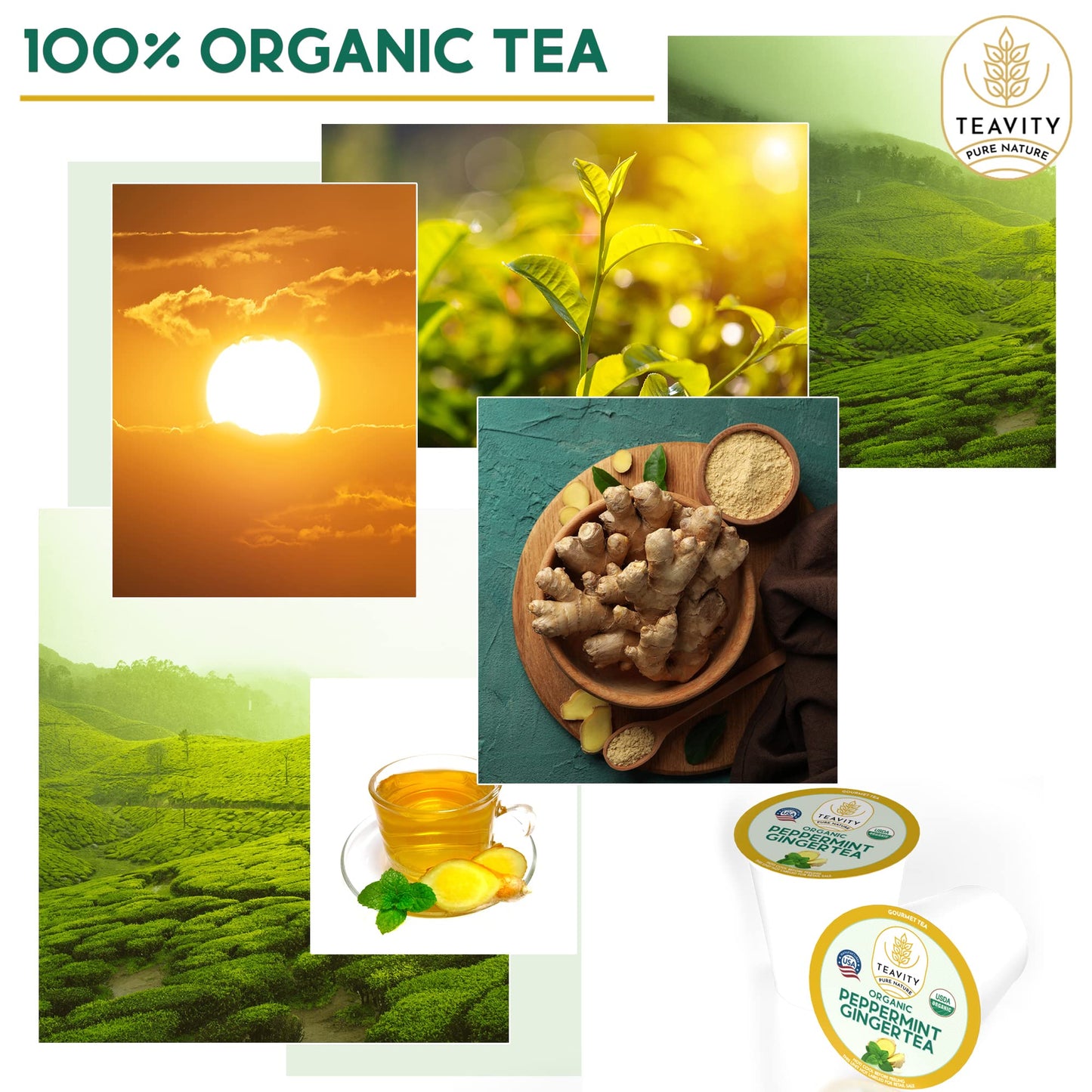 Organic Ginger Tea Pods For Keurig With Organic Peppermint Tea - Decaf Tea For K Cup Brewing Peppermint Ginger By Teavity (12 Te