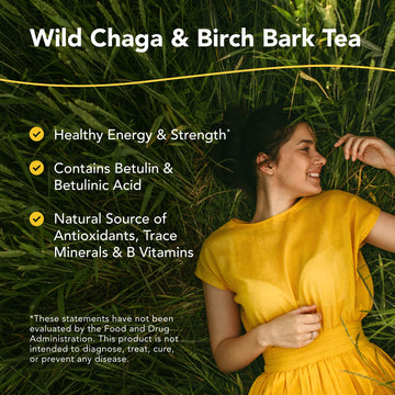North American Herb & Spice Chag-O-Charge - 3.2 Oz. - Chaga Mushroom & Birch Bark Tea - Energy & Strength, Antioxidant - 45 Serv