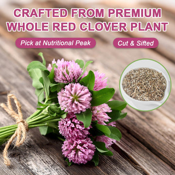 Fullchea - Red Clover Tea Bags 50 Teabags - Pure Red Clover Herb - Non-GMO - Caffeine-Free - Rich in Antioxidants & Supports Wellness