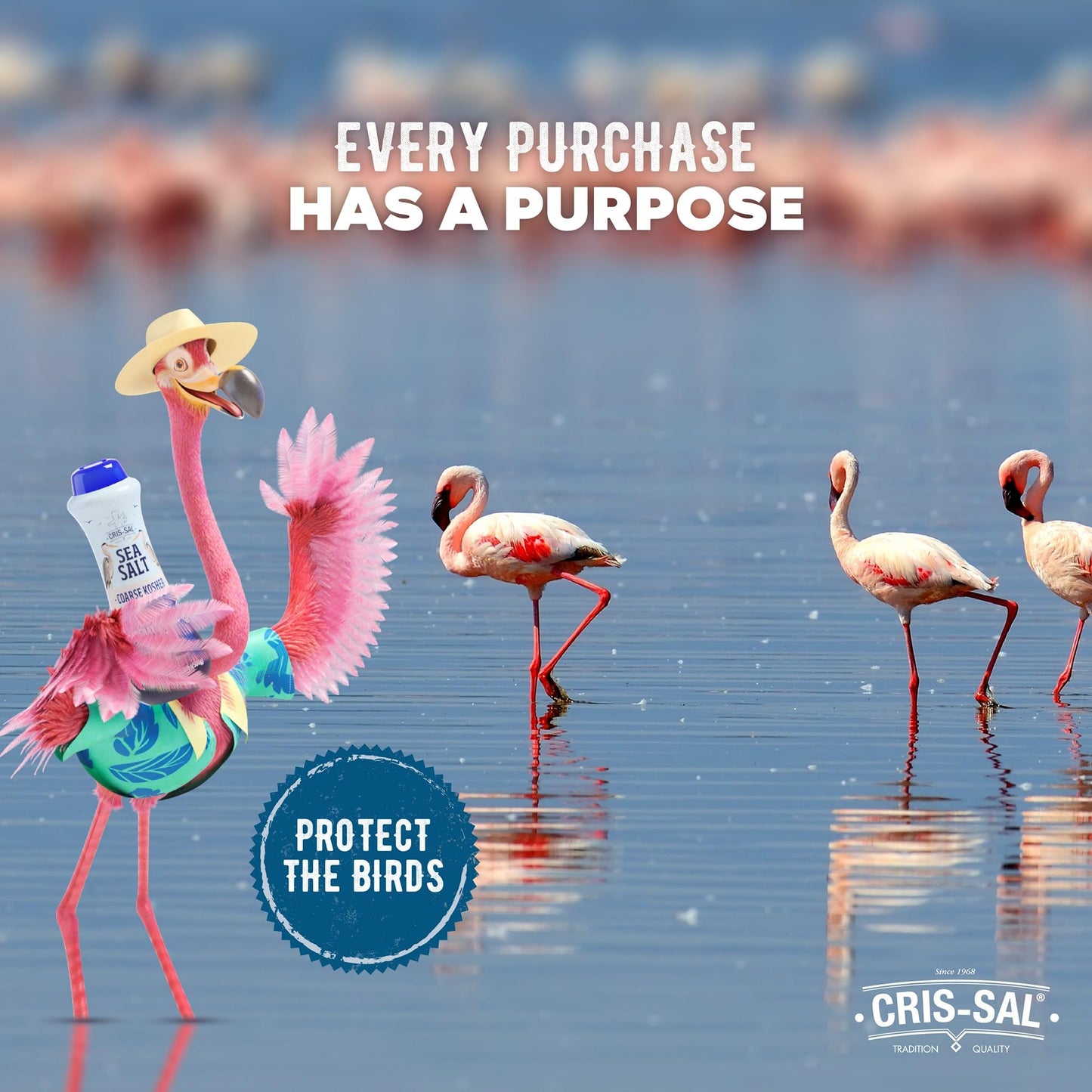 Cris-Sal Gourmet Grilling Sea Salt, Coarse Diamond Crystal Full Flavor Natural Grain Salt, Great for Cooking, Baking, Table Seas