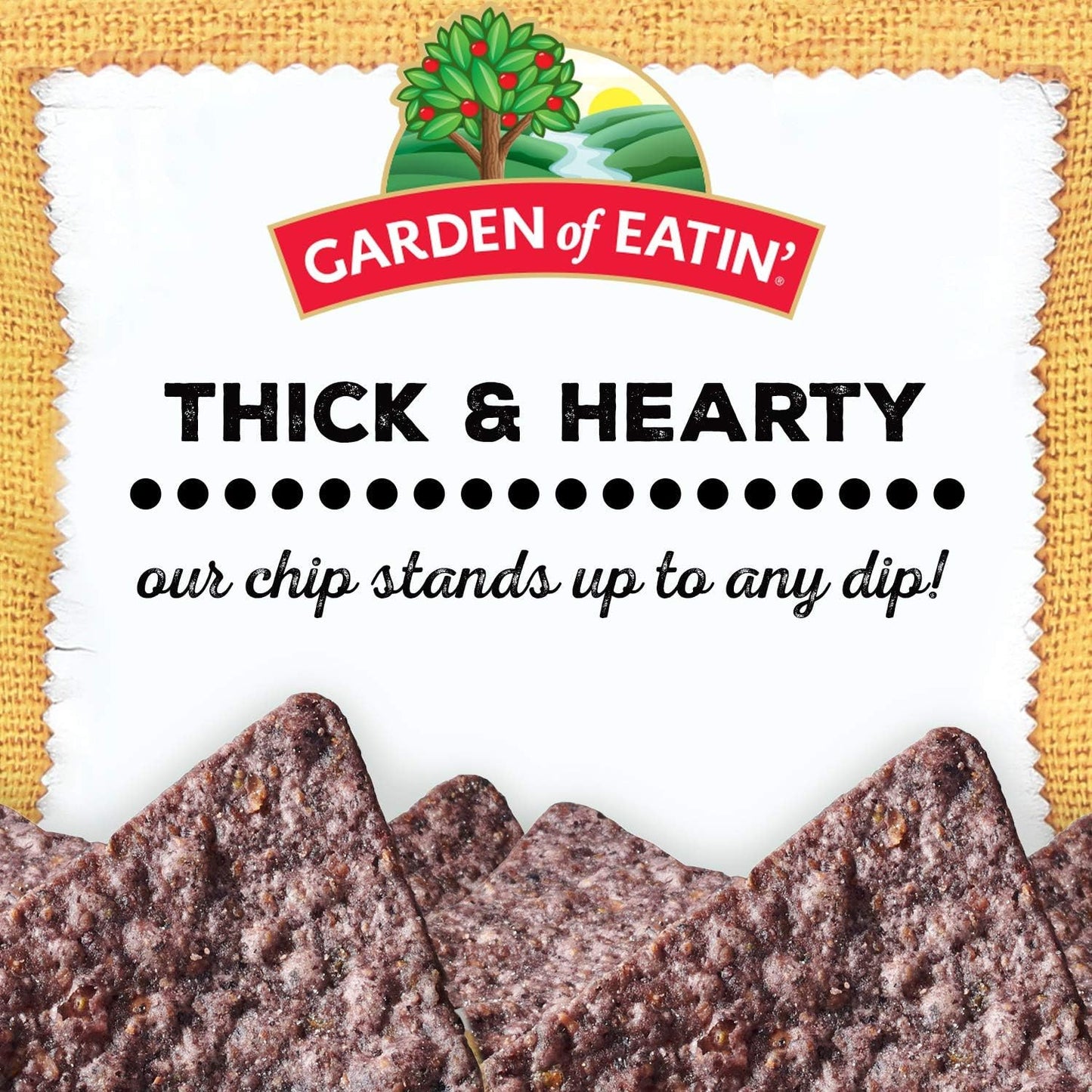 Garden of Eatin Blue Corn Tortilla Chips, Blue Chips, 1 lb bag (Pack of 12)