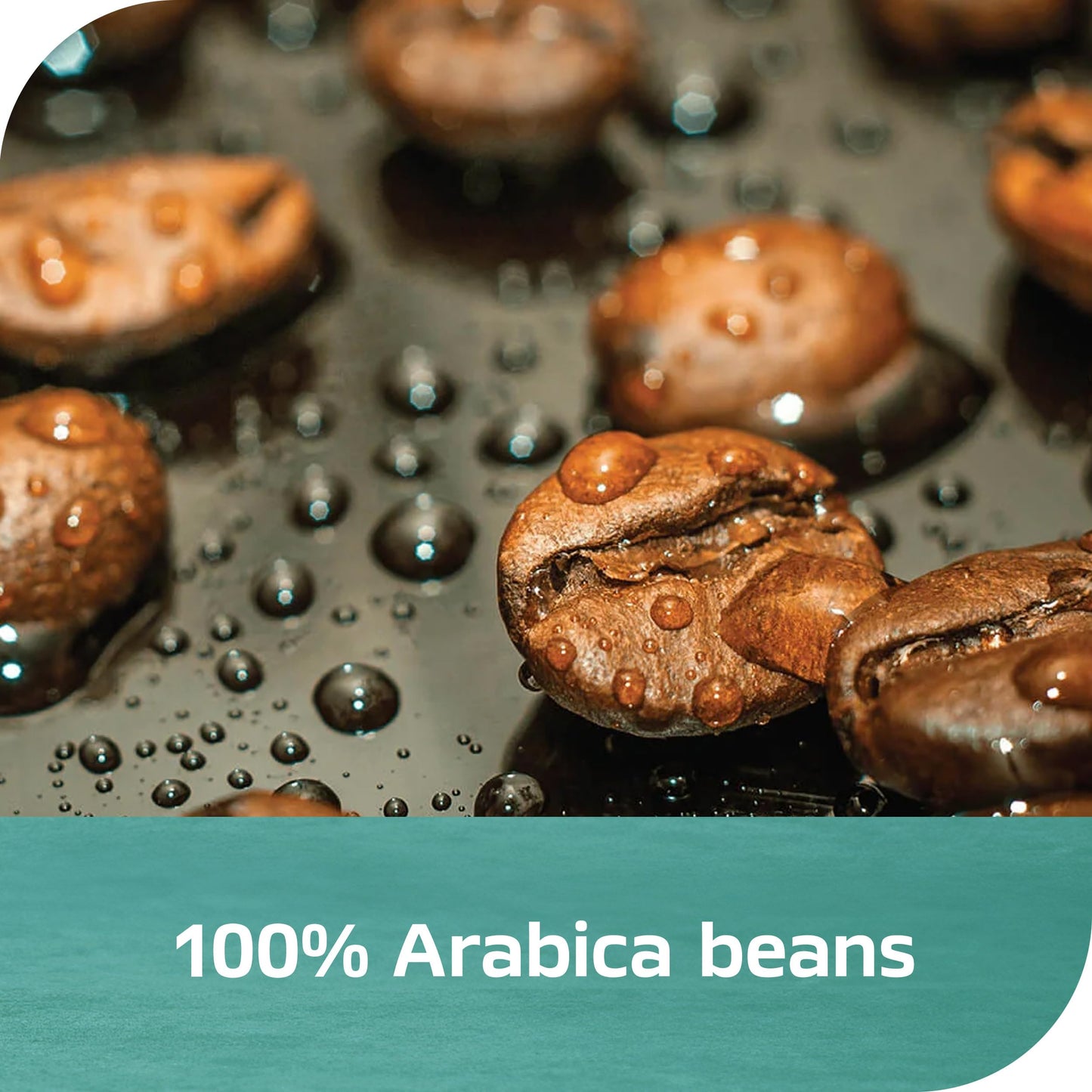 Nescaf Espresso Concentrate, Instant Espresso Iced Coffee, Black, 1 Bottle (10 Fl Oz)