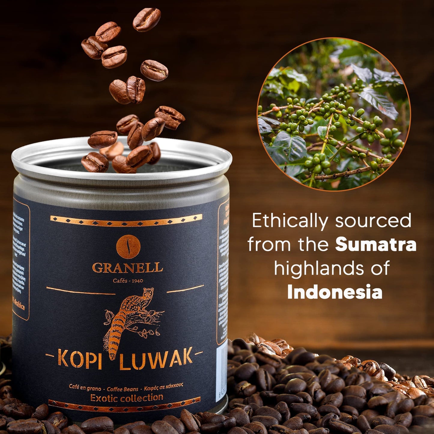 Caf  S Granell Wild Civet Arabica Coffee Beans, Medium Roast Gourmet Indonesian Luwak Coffee Gifts, 100G