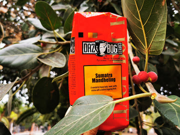 Dazbog Coffee | Sumatra Single Origin | Whole Bean | 11 Oz. | Strong, Sweet & Earthy Aroma | Exotic, Heavily-Bodied Blend | Smooth Finish | Vacuum Sealed Freshness