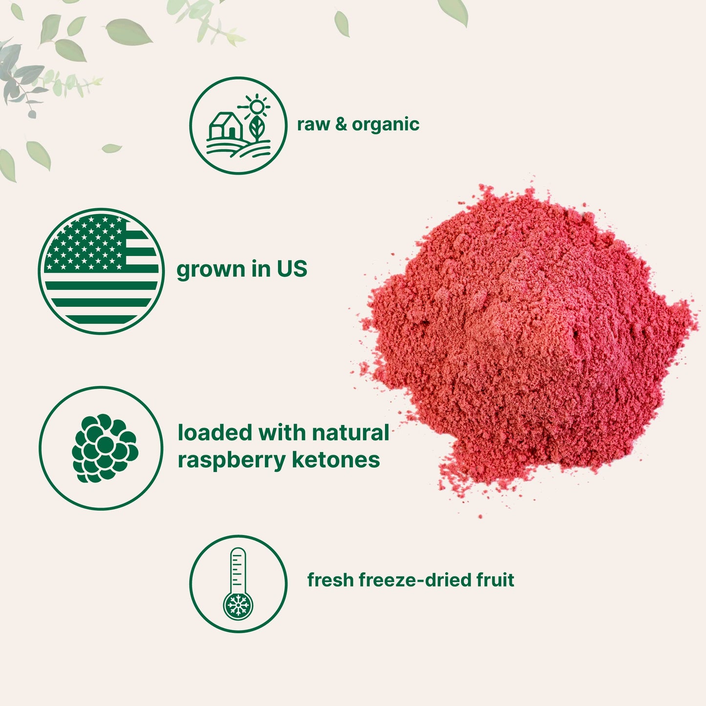 Organic Raspberry Juice Powder, 8Oz | 100% Natural Fruit Powder | Freeze-Dried Raspberries Source | No Sugar & Additives | Great Flavor For Drinks, Smoothie, & Beverages | Non-Gmo & Vegan Friendly