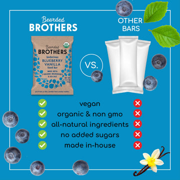 Bearded Brothers Organic Vegan Protein Energy Bars, Blueberry Vanilla, Gluten Free, 12 Count