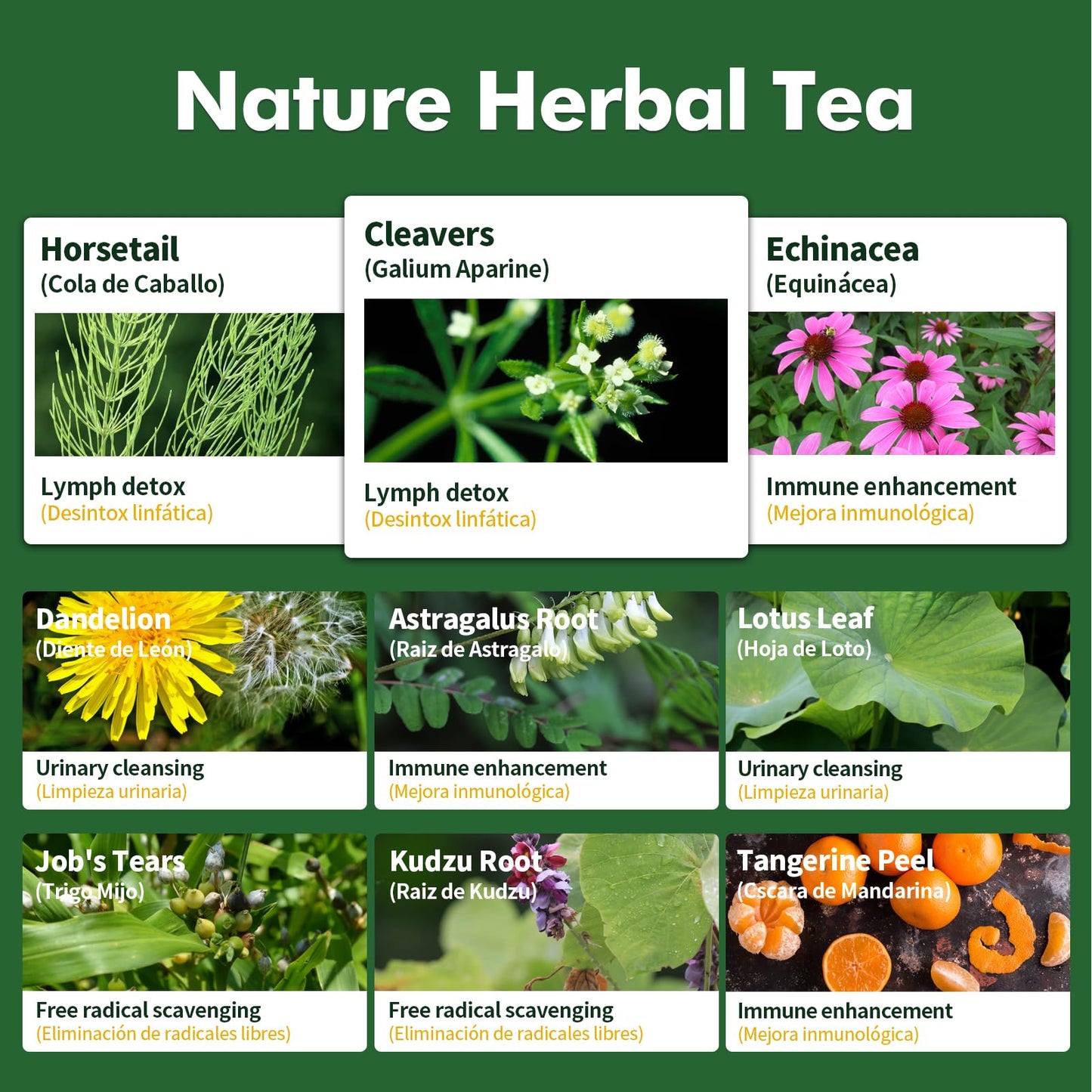 Herbmood Horsetail Lymphatic Drainage Tea Bags for Lymph System Support, Te de Cola de Caballo para Drenaje Linfatico, Cleavers