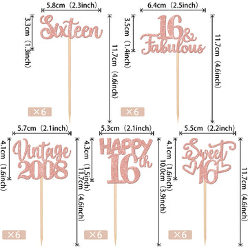 30Pcs Vintage 2008 Cupcake Toppers Glitter Sixteen 16 Fabulous Happy 16Th Birthday Cupcake Picks Cheers To 16 Years For 16Th Bir