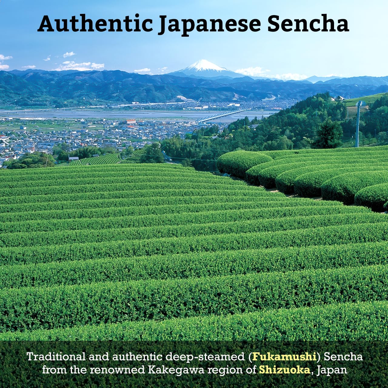 Sugimoto Tea Japanese Green Tea Loose Leaf 3.5 Oz (100 G) Pack Of 1, Traditional Deep Steamed Fukamushi Sencha Teas Made In Shiz