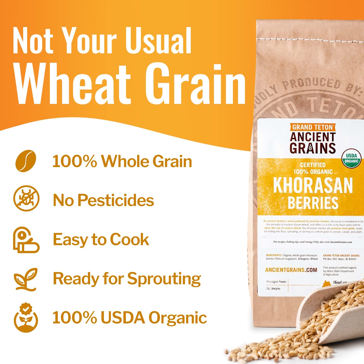 Grand Teton - Ancient Grains Khorasan Wheat Berries, 100% Organic Berries, Premium Food-Grade Khorasan Grain, For Milling, Sprou