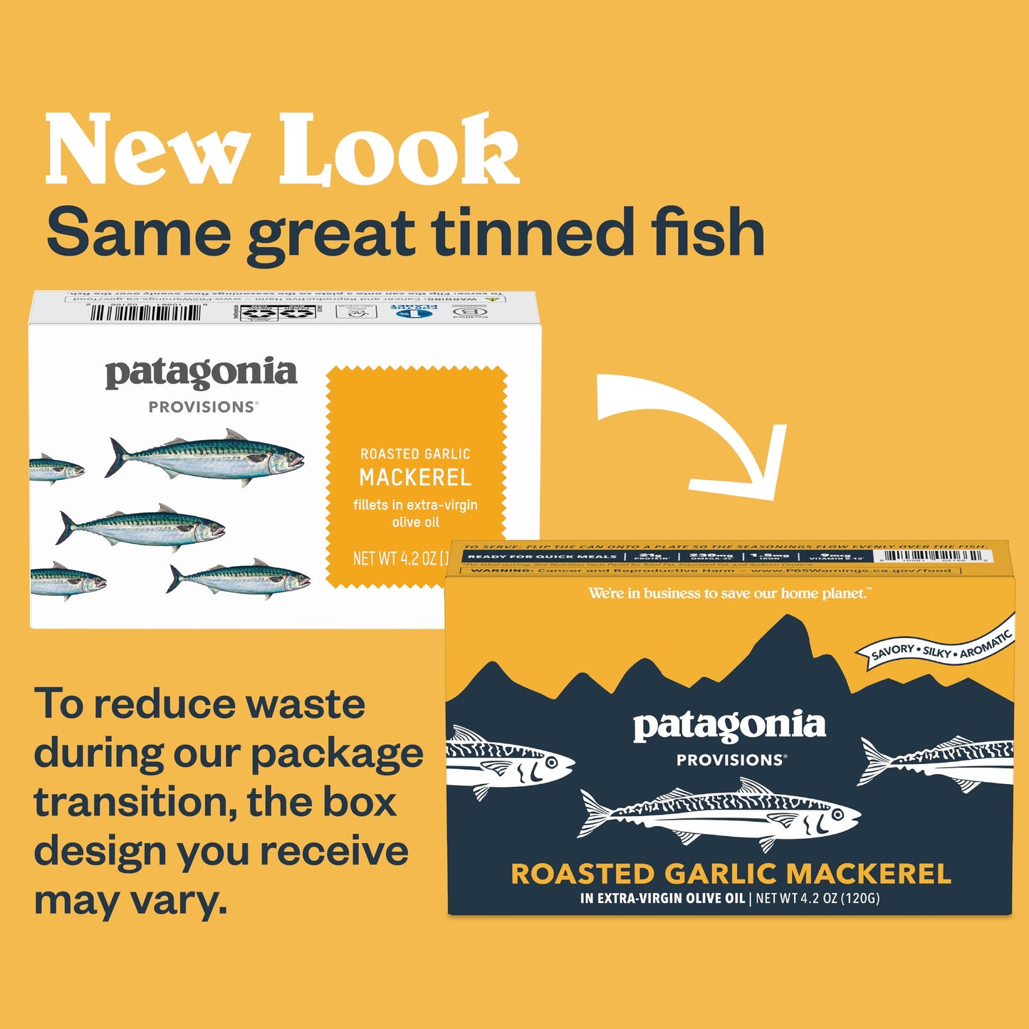 Patagonia Provisions Roasted Garlic Wild Mackerel | Responsibly Sourced In Spain | 21G Protein & Gluten Free | 10-Pack