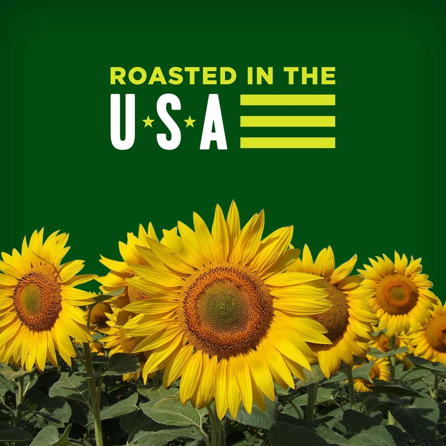 Bigs Vlasic Dill Pickle Sunflower Seeds, 16-Ounce