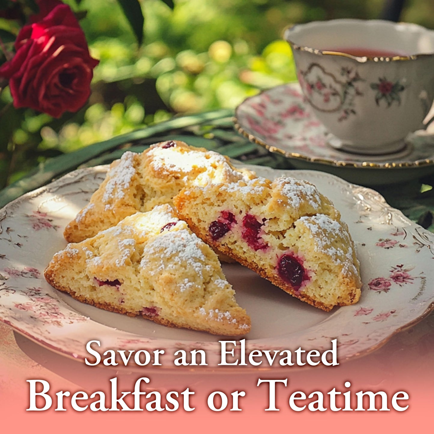 Ann Clark Traditional Cranberry Orange Scone Mix