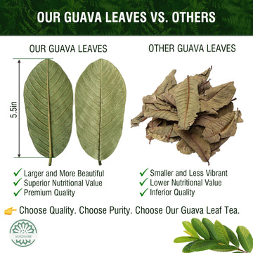Premium Guava Leaves Tea Bags - Cold-Dried For Maximum Freshness And Nutrient Retention - 45 Hojas De Guayaba Leaf Tea Bags (45,