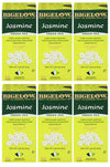 Bigelow Green Tea with Jasmine, Premium Bagged, Antioxidant-Rich, 28 Count (Pack of 6)