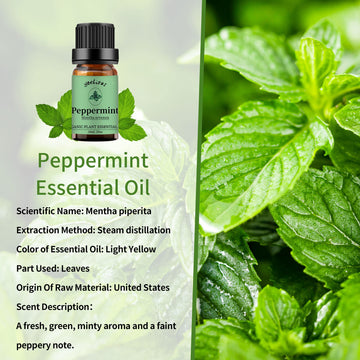 Yethious 2 Pack Lavender Peppermint Essential Oil Set Organic 100% Pure Undiluted Lavender Aromatherapy Oils For Diffuser, Skin,