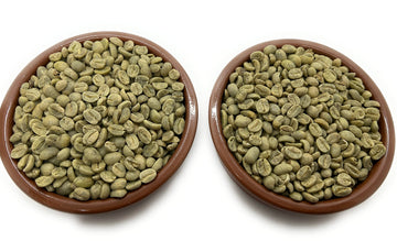 Guatemala Green Unroasted Raw Coffee Beans- Hard And Strictly Hard - Sampler Pack