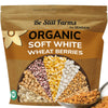 Be Still Farms Organic Soft White Wheat Berries (5.8Lb) - Healthy Whole Grains Bulk - Ideal For Feeder Oats, Flour, Bread, Soup