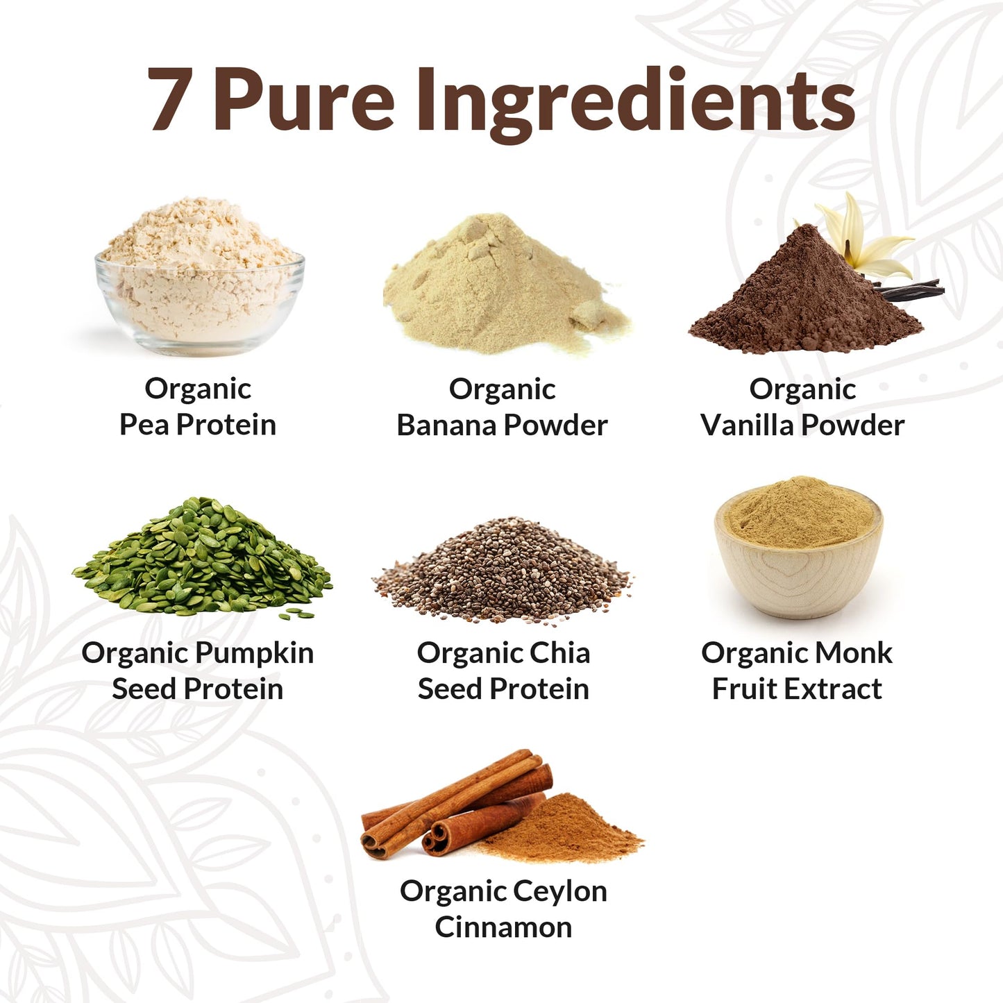 NUTRAPULSE Organic Vegan Protein Powder, Plant-Based, 20g Protein, Banana Cinnamon, 1 Pack, 20 Servings