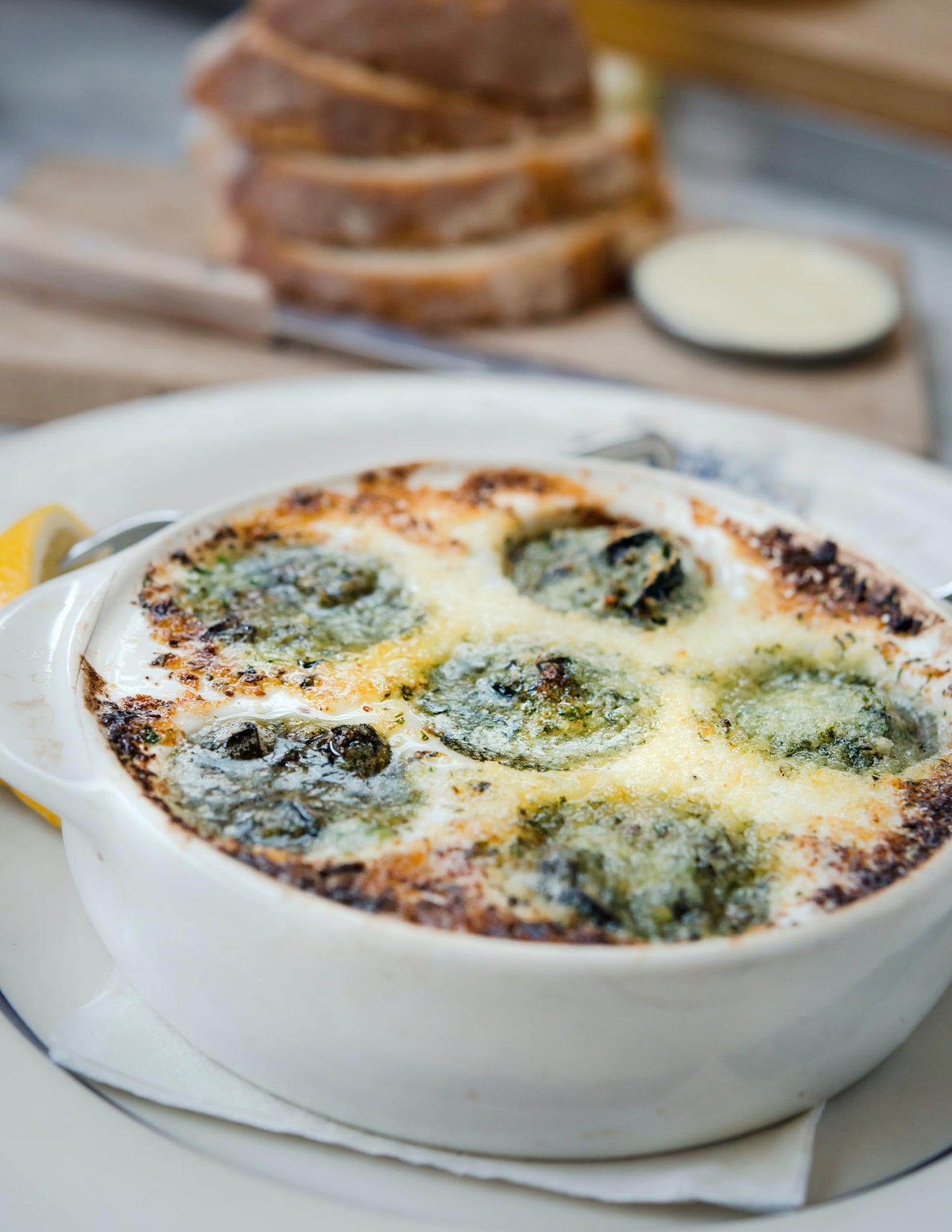 Escargots - 72 Pieces of Organic Helix Burgundy Snails - ''Land Lobster'' 1.76 lbs (800 Grams)