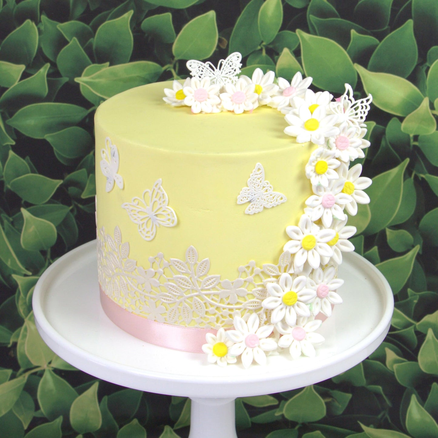 Global Sugar Art Daisy Sugar Cake Flowers, White Petals, Pink Centers Unwired, Small 36 Count by Chef Alan Tetreault