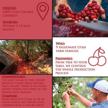 Country Spoon Montmorency Red Tart Cherry Juice Concentrate (32 oz. 2-Pack)