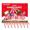 Christmas Candy Mini Canes Stocking Stuffer Red And White Peppermint Sticks Candy Canes Individually Wrapped Bulk Christmas Candy For Décor, Parties & Gifts – 100 Count