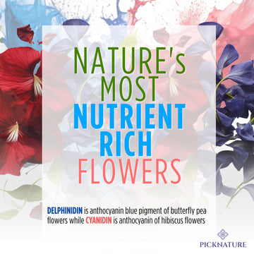 Picknature Purple Hibiscus Tea And Butterfly Pea Flower Tea Bag Leaf Freshly Picked From Thailand | 30 Tea Bags (100+ Cups) | He