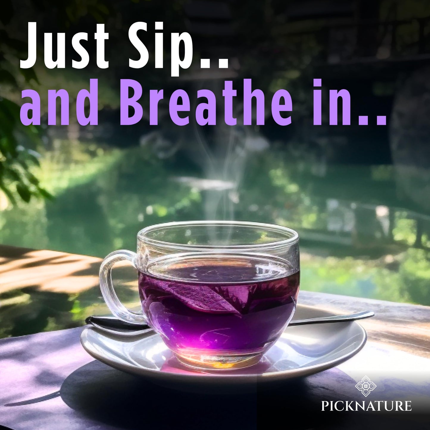 Picknature Purple Hibiscus Tea And Butterfly Pea Flower Tea Bag Leaf Freshly Picked From Thailand | 30 Tea Bags (100+ Cups) | He