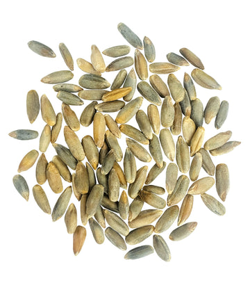 Certified Glyphosate Residue Free Rye Berries | Washington State Grown | 4 Lbs | Non-Gmo | Clear Creek Foods