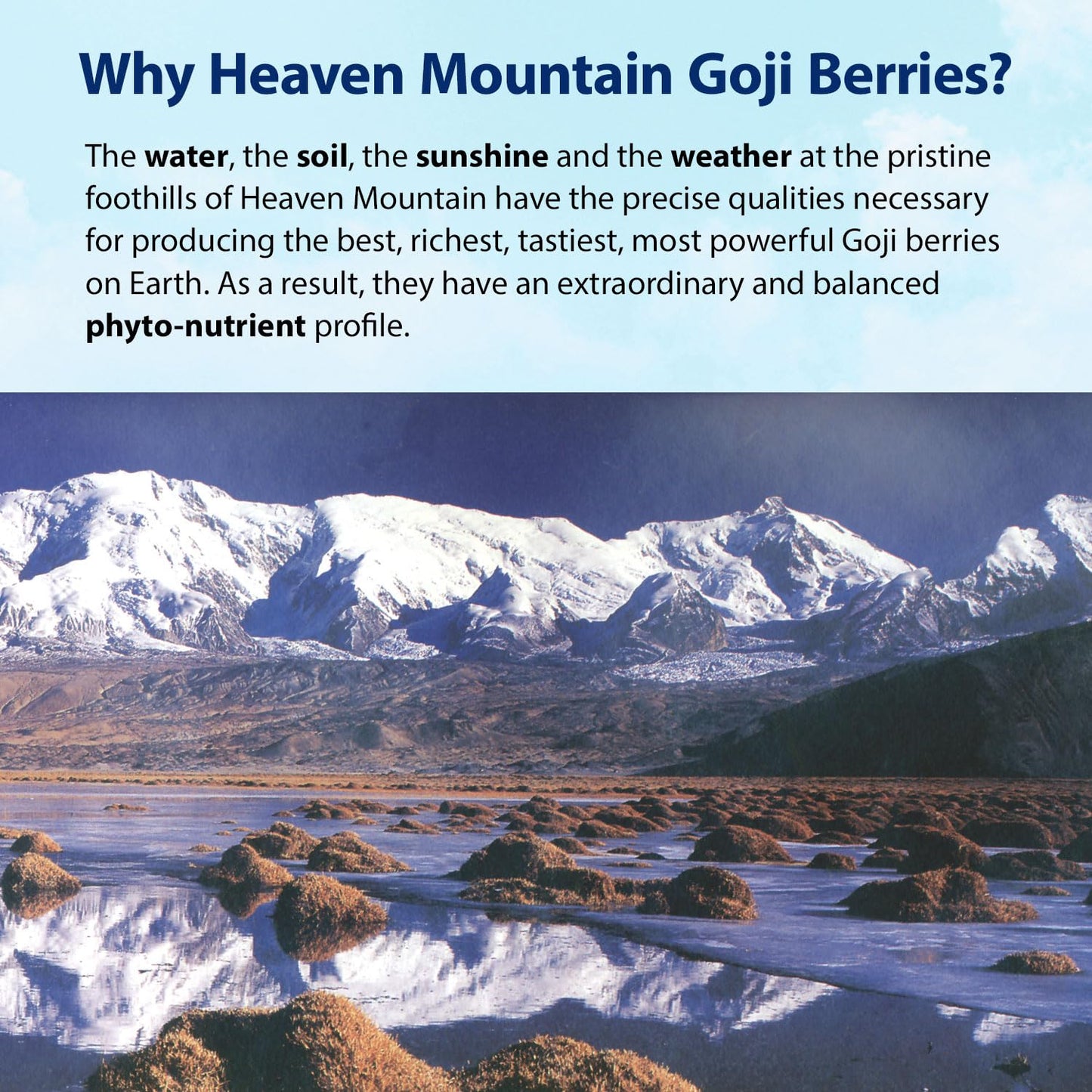 Dragon Herbs Heaven Mountain Goji Berries 8 oz. (227g), moist, fight stress, gain strength, eye vision tonic, all natural ingred