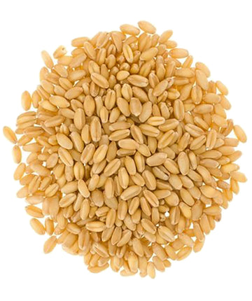 Soft White Wheat Berries | 15 Lbs | Family Farmed In Washington State | 100% Desiccant Free | Non-Gmo Project Verified | 100% No