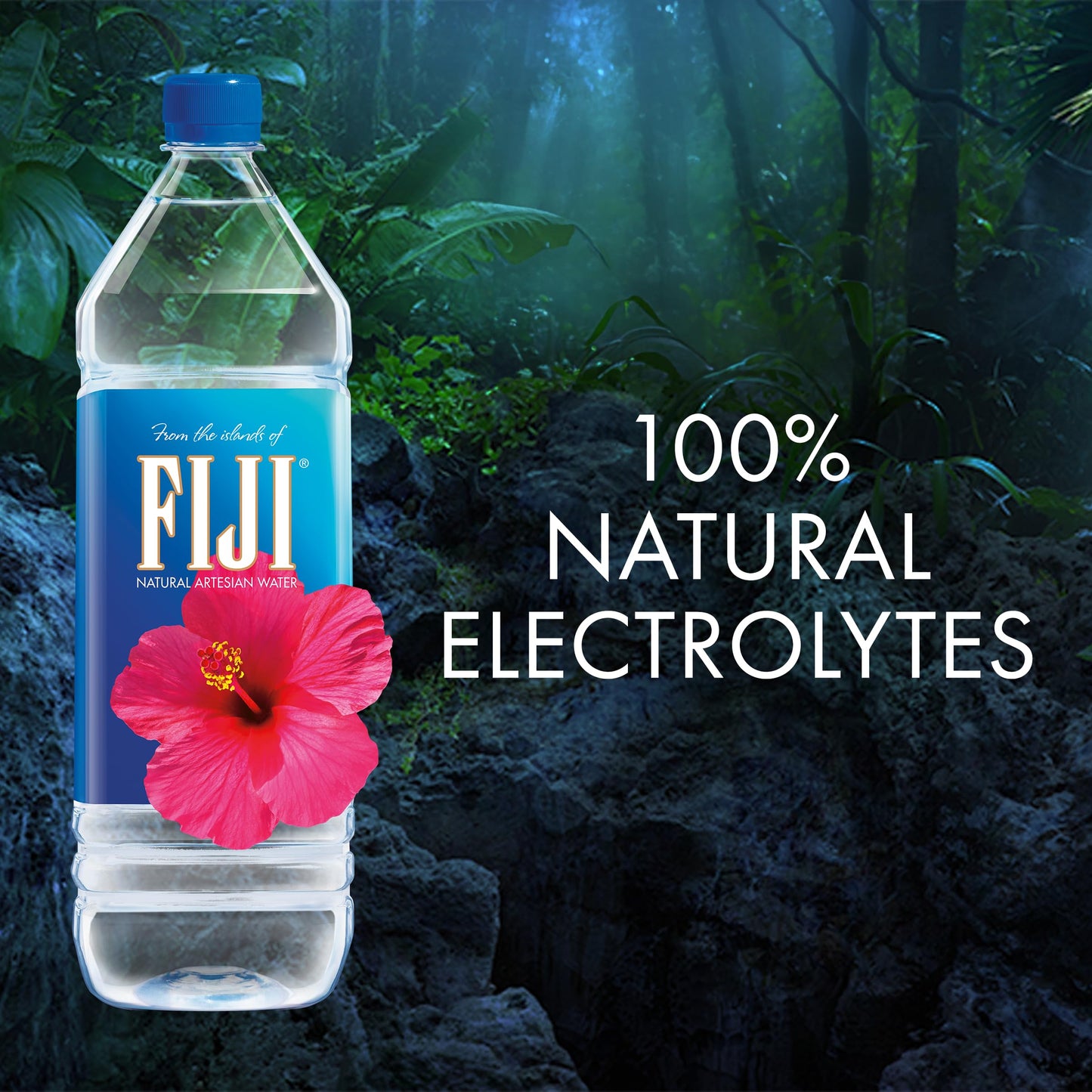 FIJI Natural Artesian Bottled Water, 1.5L (50.7 Fl Oz) - Pack of 12, Limited Edition, 100% Natural Electrolytes