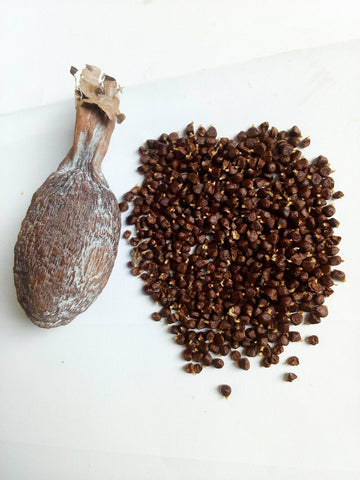 Ghana Alligator Pepper Mbongo Spice Hepper Pepper (10)