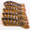 Today Gourmet Foods of NC Maine Lobster Tails (8oz-10oz) (12 Tails)